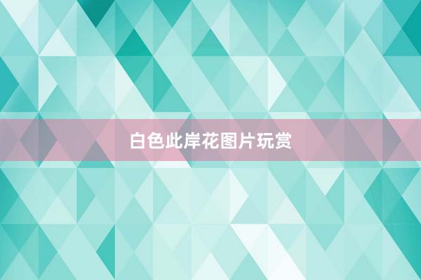 白色此岸花图片玩赏