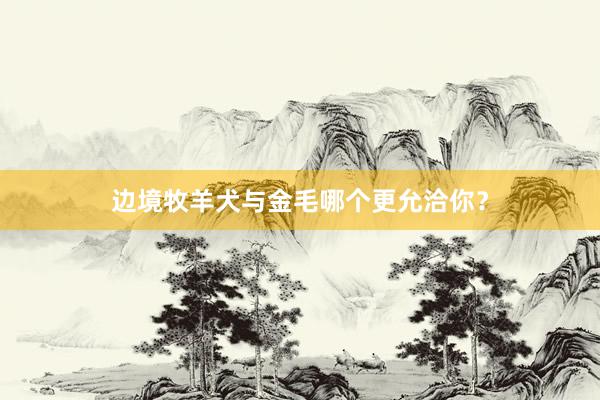 边境牧羊犬与金毛哪个更允洽你？